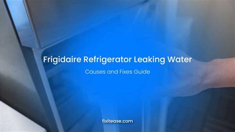 frigidaire refrigerator water filter leaking|Frigidaire Refrigerator leaking water: Causes + Fixes